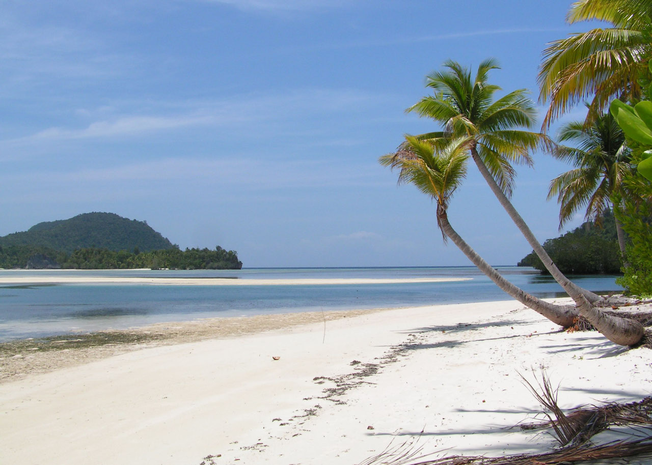 Moluques orientales - plage de Batanta
